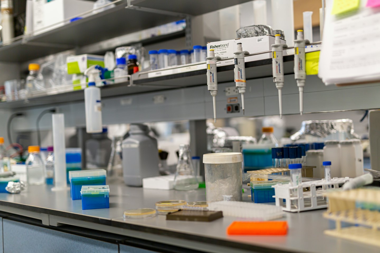 Laboratory workbench with organized scientific equipment and colorful liquids.